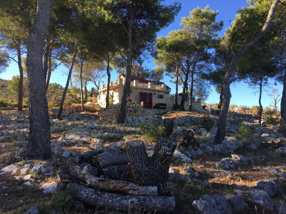 House Vesna Kupinova Villa Milna  Eksteriør bilde